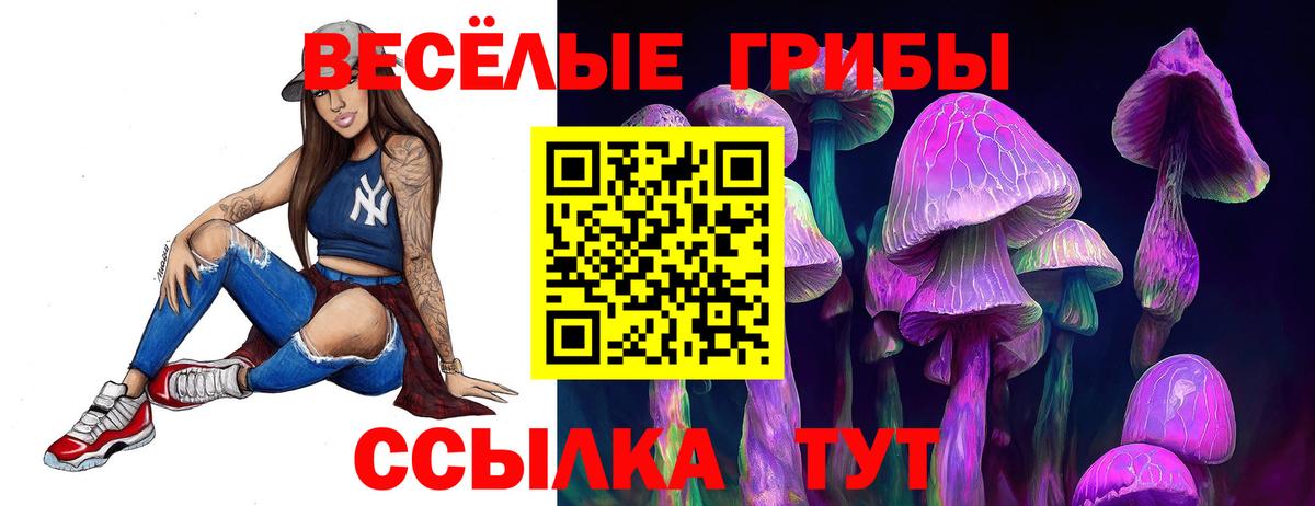 Галлюциногенные грибы Psilocybine cubensis Чехов