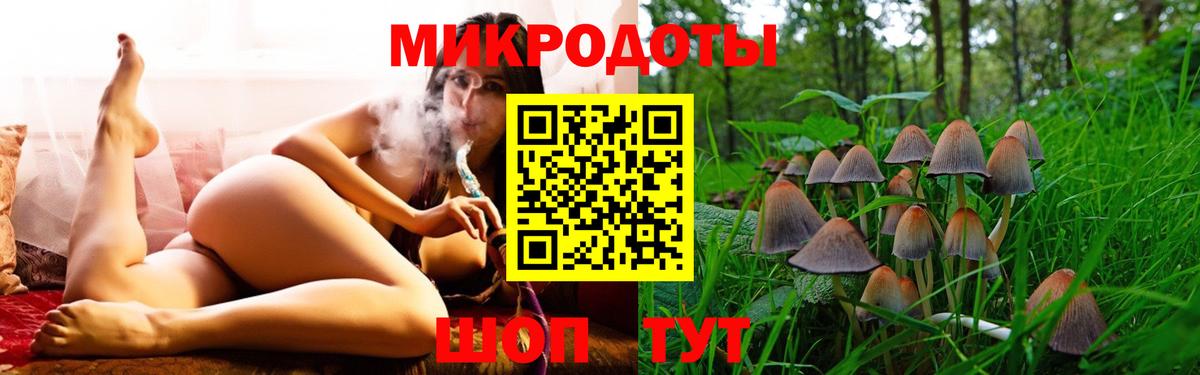 Псилоцибиновые грибы MAGIC MUSHROOMS  Вход с VPN  Чехов 